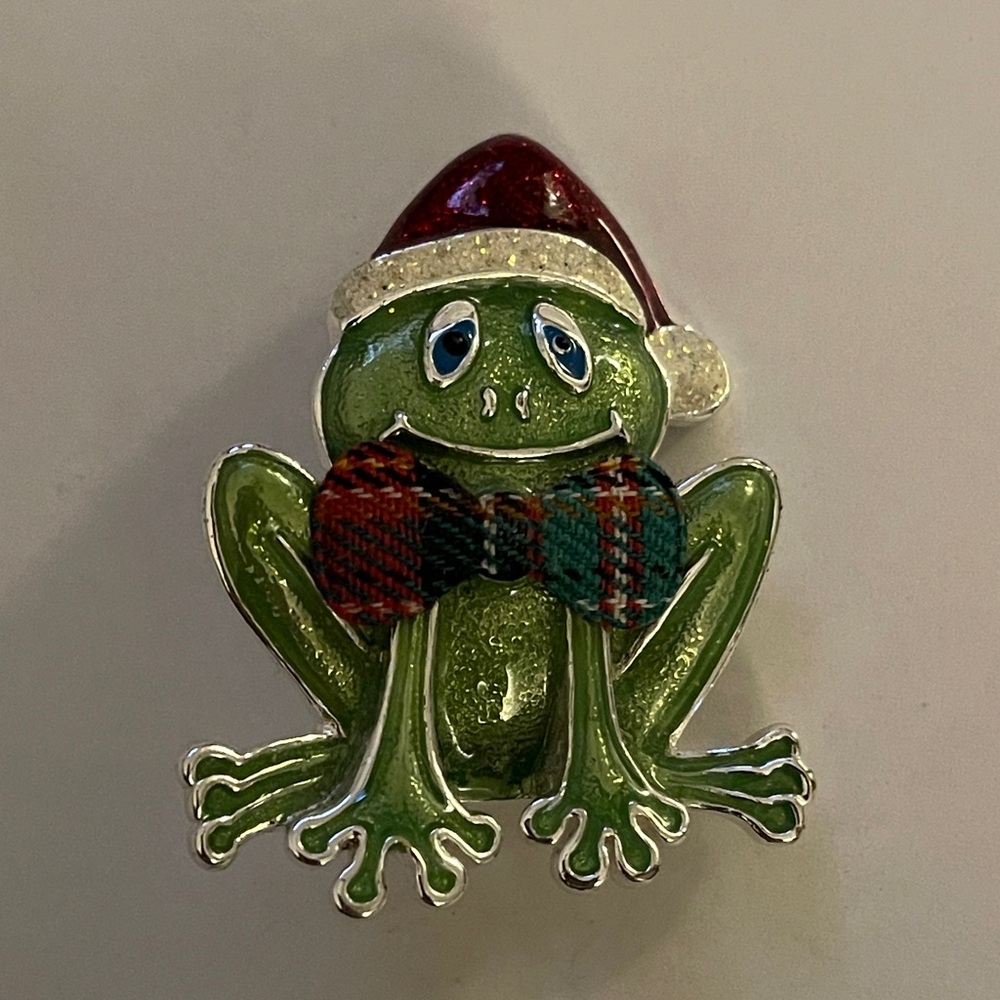VTG Festive Frog Brooch with Santa Hat